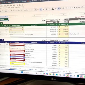 Expat Budget Tracker – Desktop Version